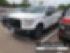 1FTEW1EP1GFA72073-2016-ford-f-150-0