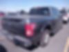 1FTEW1EP1FKE12585-2015-ford-f-150-2