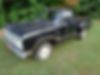 D13AE9S225556-1979-dodge-other-pickups-0