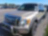 1FTFW1E80AFD58565-2010-ford-f-150-0