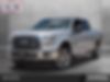 1FTEW1EGXGKF31401-2016-ford-f-150