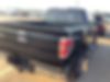 1FTFW1ET3DKF08166-2013-ford-f-150-2