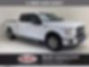 1FTEW1CG6GKE82054-2016-ford-f-150