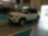 3C4NJDBB2KT630312-2019-jeep-compass-0