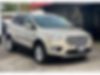 1FMCU0GD2JUD07833-2018-ford-escape-0