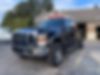 1FTSW2BR3AEA01131-2010-ford-f-250-0