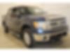 1FTFW1ET6DKD04767-2013-ford-f-150-0