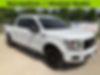 1FTEW1EP1KFA12013-2019-ford-f-150-0
