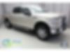 1FTEW1EP0HFB66835-2017-ford-f-150-0