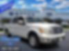 1FTFW1CF6DFB14697-2013-ford-f-150-0