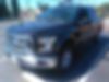1FTEW1EP5FFB48568-2015-ford-f-150