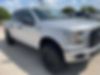 1FTEW1EP1HKC41016-2017-ford-f-150-0