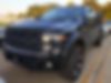 1FTFW1ET6DFC83492-2013-ford-f-150-0