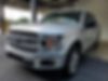 1FTEW1CP5KFA51383-2019-ford-f-150