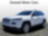 1C4PJLABXFW602505-2015-jeep-cherokee-0