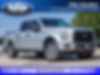 1FTEW1EP9HKE08271-2017-ford-f-150-0
