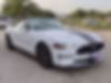 1FATP8FF3K5151798-2019-ford-mustang-0
