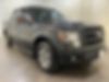 1FTFW1CF4DFB32311-2013-ford-f-150-0