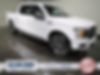 1FTEW1EPXJKD56204-2018-ford-f-150-0