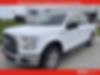 1FTEW1EP1GKD55306-2016-ford-f-150-0