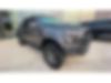 1FTFW1RG3HFC01365-2017-ford-f-150-0