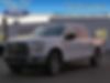 1FTEW1EF6GFB36213-2016-ford-f-150