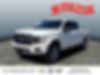1FTEW1EP2KFB21869-2019-ford-f-150-2