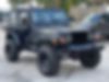 1J4FA39S52P756196-2002-jeep-wrangler