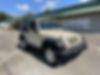 1J4AA2D1XBL596438-2011-jeep-wrangler-2