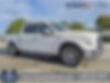 1FTEW1CP2HKC95119-2017-ford-f-150-0