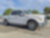 1FTEW1CP2HKC95119-2017-ford-f-150-1