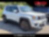ZACNJABB0LPL90259-2020-jeep-renegade-0