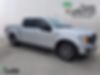 1FTEW1CPXJFE59599-2018-ford-f-150-0