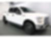 1FTEW1EP9GFC93596-2016-ford-f-150-0