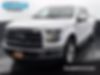 1FTEW1EP9GKE70560-2016-ford-f-150-0
