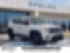ZACNJAABXLPL15991-2020-jeep-renegade-0