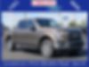 1FTEW1EP8HFA84898-2017-ford-f-150-0