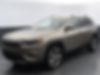 1C4PJMDXXLD500920-2020-jeep-cherokee-2