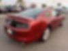 1ZVBP8AM3E5321901-2014-ford-mustang-2