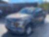1FTEW1E82GFB04117-2016-ford-f-150-0