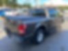 1FTEW1E82GFB04117-2016-ford-f-150-2