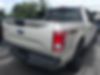 1FTEW1EP2HKD06844-2017-ford-f-150-2