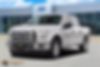 1FTEW1CG8HKD46607-2017-ford-f-150-1