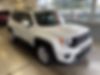 ZACNJABB7LPL24551-2020-jeep-renegade-0
