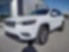 1C4PJMDXXKD321551-2019-jeep-cherokee-0