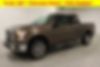 1FTEW1EF9FKD13617-2015-ford-f-150-0