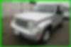 1J4PP2GK9BW504196-2011-jeep-liberty