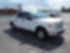 1FTEW1E82AFB36900-2010-ford-f-150-2