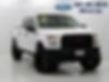 1FTEW1E84FFB87029-2015-ford-f-150-0