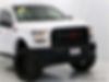 1FTEW1E84FFB87029-2015-ford-f-150-1